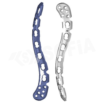 LOCKING SUPERIOR ANTERIOR CLAVICLE PLATE WITH LATE Manufacturers in Delhi