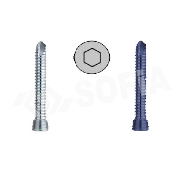 3.5MM LOCKING COMPRESSION SCREW Manufacturers in Delhi