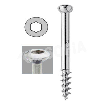 6.5MM CANCELLOUS SCREW (16MM THREAD) Manufacturers in Delhi