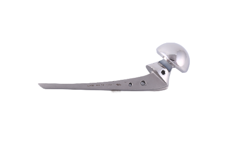 BIPOLAR HIP PROSTHESIS Manufacturers in Delhi