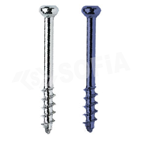 4.0MM CANNULATED SCREW (SHORT THREAD) Manufacturers in Delhi
