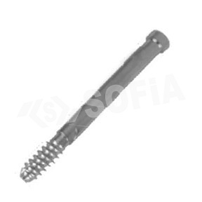 8.0MM PROXIMAL FEMORAL SCREW Manufacturers in Delhi
