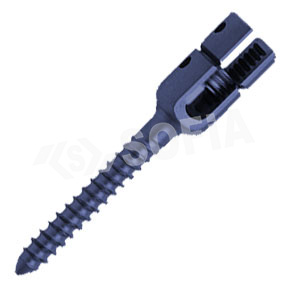 REDUCTION SCREW Manufacturers in Delhi