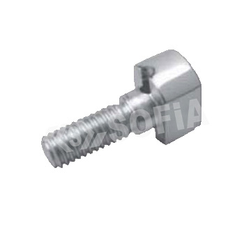 WIRE FIXATION BOLT SIDE HOLE . Manufacturers in Delhi