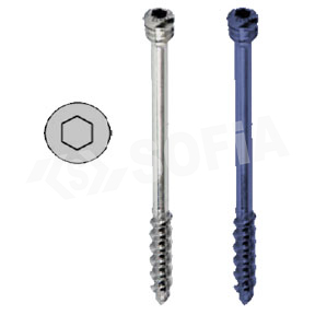 6.5MM LOCKING CANCELLOUS SCREW (16MM THREAD) Manufacturers in Delhi