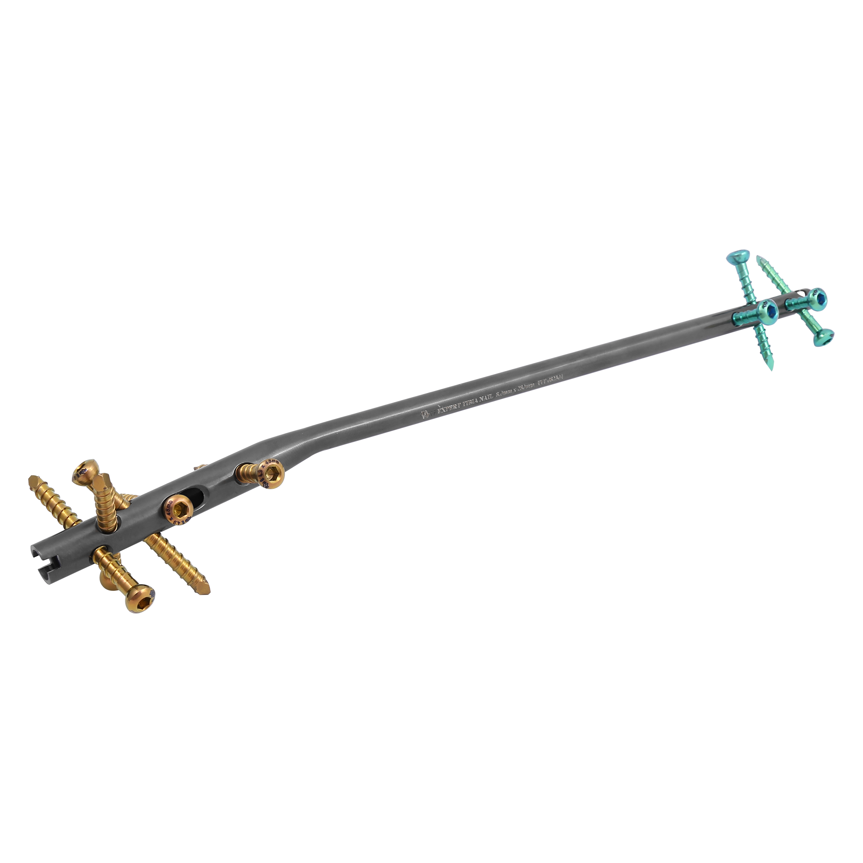 EXPERT TIBIA Manufacturers in Delhi