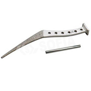 THOMPSON RASP WITH TOMMY BAR Manufacturers in Delhi