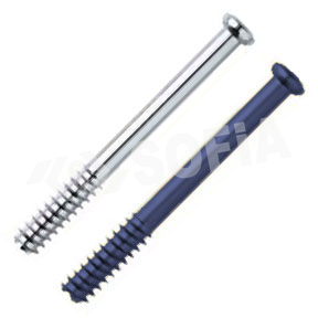 6.5MM CANNULATED SCREW (32MM THREAD) Manufacturers in Delhi