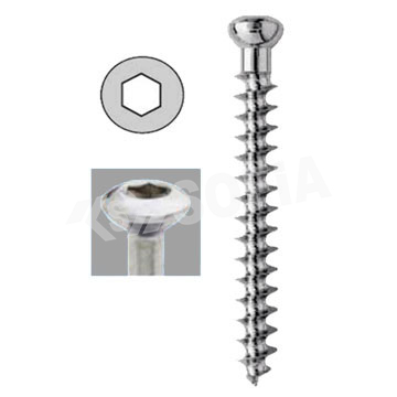6.5MM CANCELLOUS SCREW (FULL THREAD) Manufacturers in Delhi