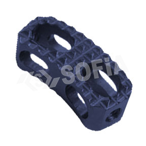 TLIF CAGE (KIDNEY CAGE) Manufacturers in Delhi